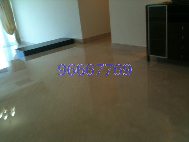 Valley Park (D10), Condominium #97137972